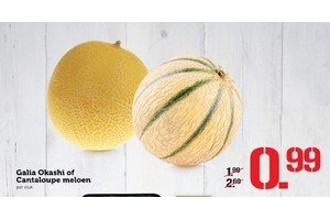 galia okashi of cantaloupe meloen