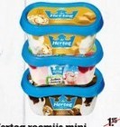 hertog roomijs mini