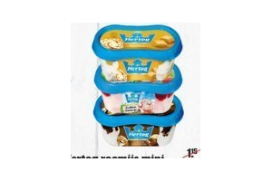 hertog roomijs mini