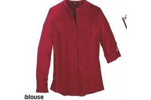 damesblouse