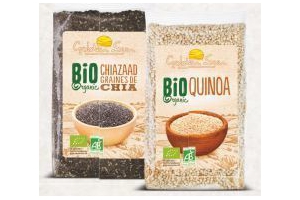 golden sun chiazaad of quinoa
