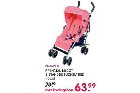 prenatal buggy 5 standen