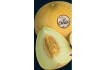 super okashi galia meloen