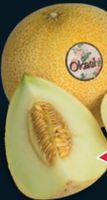 super okashi galia meloen