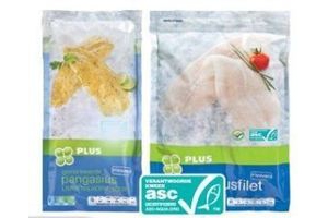 plus pangasiusfilet