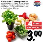 hollandse zomergroenten