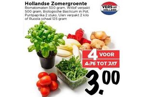 hollandse zomergroenten