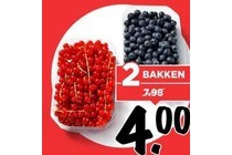 hollandse rode of blauwe bessen