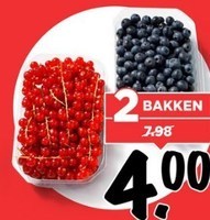hollandse rode of blauwe bessen