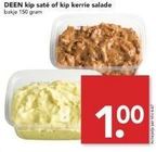 deen kip sate of kip kerrie salade