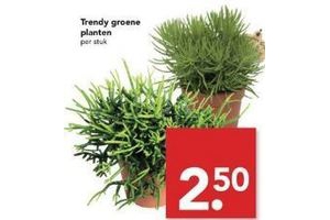 trendy groene planten