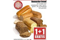 boonacker brood