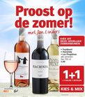 zuydpunt hacienda los pingueinos