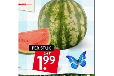grote watermeloen