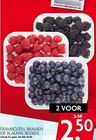 frambozen bramen of blauwe bessen