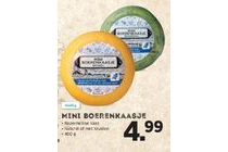mini boerenkaasje