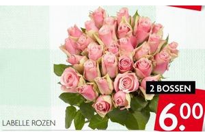 labelle rozen
