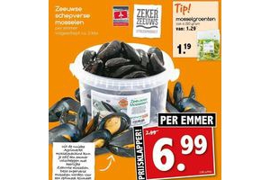 zeeuwse schepverse mosselen
