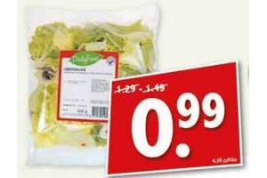 ijsbergsalade of ijsbergsla