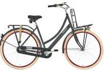 mobion transportfiets meriter