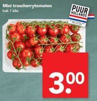 mini troscherrytomaten