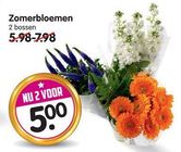 zomerbloemen