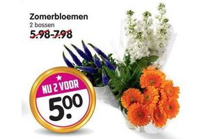 zomerbloemen