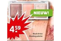 catrice blush artist shading palette