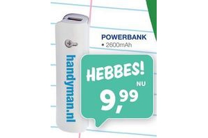 powerbank handyman