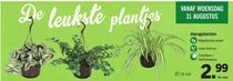 hangplanten