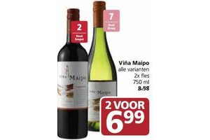 vina maipo