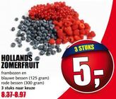 hollands zomerfruit
