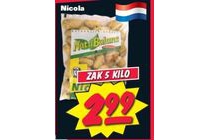 nicola