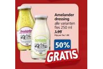 amelander dressing