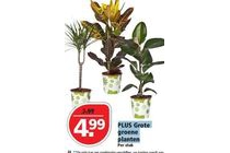 plus grote groene planten