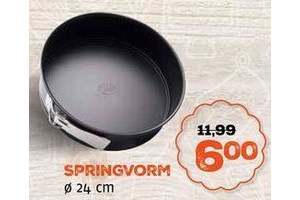 springvorm o 24 cm