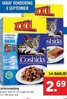 kattenvoeding