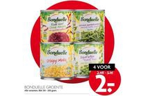 bonduelle groente