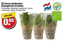 verse hollandse biologische kruiden