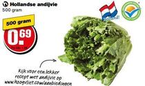 hollandse andijvie