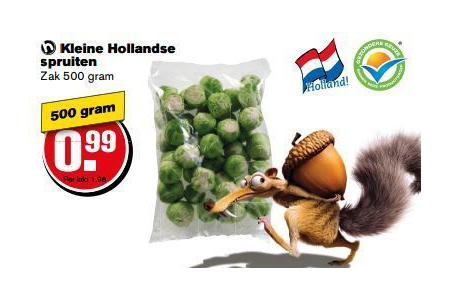 hollandse andijvie