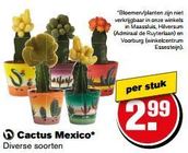 cactus mexico