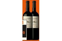 catena malbec lunlunta