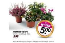 herfstbloeiers