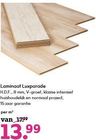 laminaat luxparade