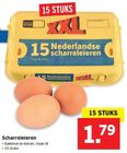 xxl verpakking scharreleieren 15 stuks