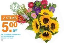 ah gladiolen zomerasters en zonnebloemen