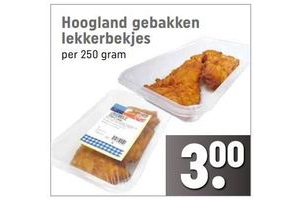 hoogland gebakken lekkerbekjes