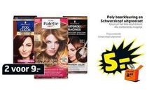 poly haarkleuring en schwarzkopf uitgroeiset