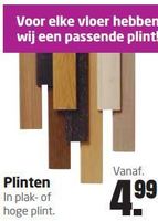 plinten